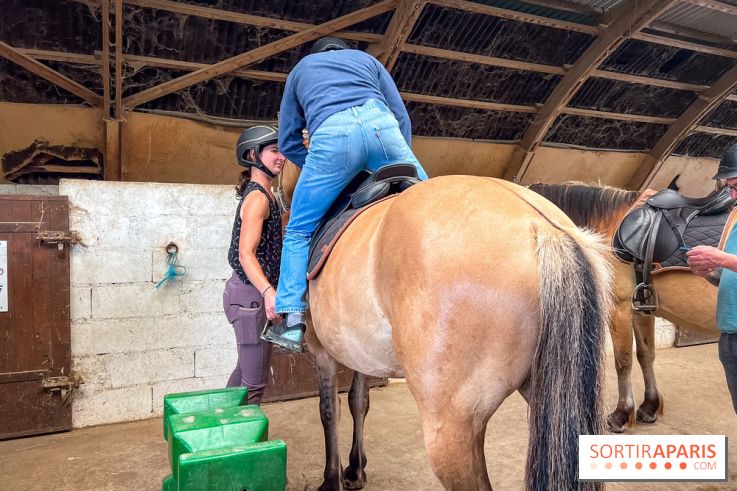 Balade en chevaux Henson en forêt de Fontainebleau