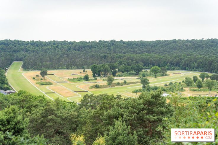 L'Hippodrome de la Solle à Fontainebleau - photos - A7C02779