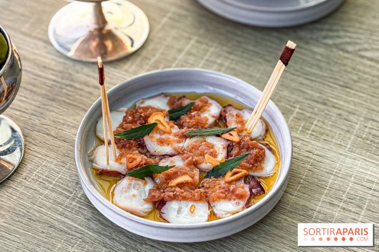 Bar Les Ombres : cocktails & tapas sur le rooftop du Musée du Quai Branly avec vue sur la tour Eiffel - IMG 8117