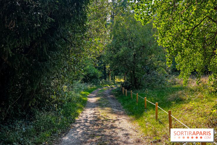 Parc de la Roseraie Châtenay - IMG 4428 jpg