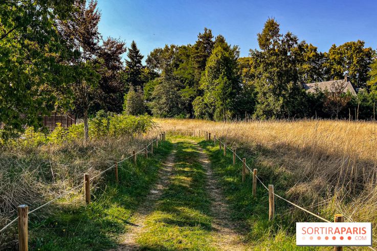 Parc de la Roseraie Châtenay - IMG 4435 jpg