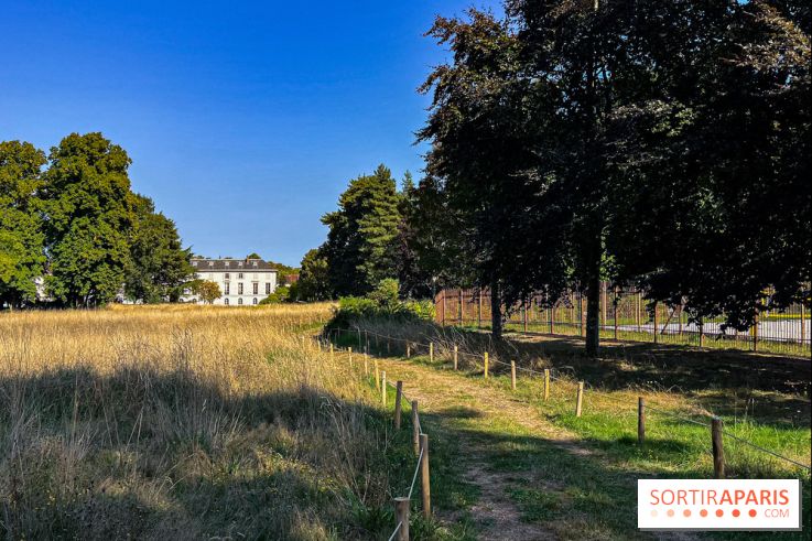 Parc de la Roseraie Châtenay - 2