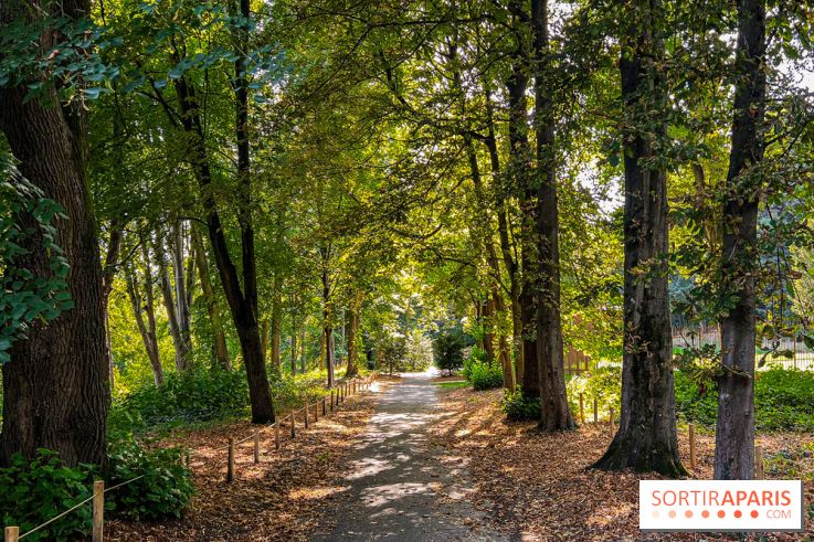 Parc de la Roseraie Châtenay - IMG 4458 jpg 2