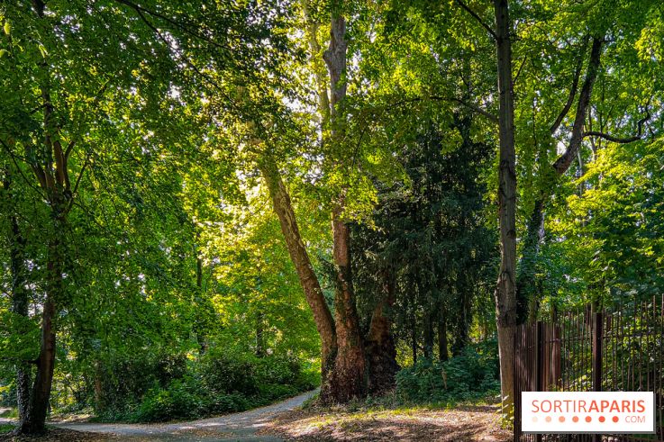 Parc de la Roseraie Châtenay - IMG 4461 jpg