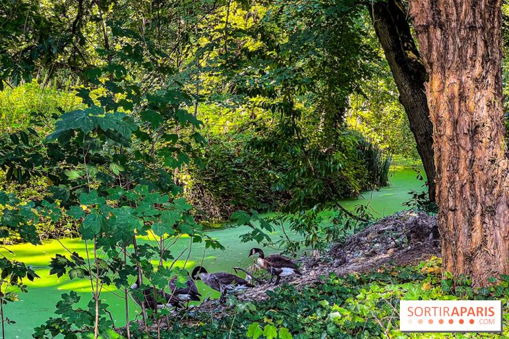 Parc de la Roseraie à Chatenay Malabry (92) : 8 hectares de verdure classés Monument Historique