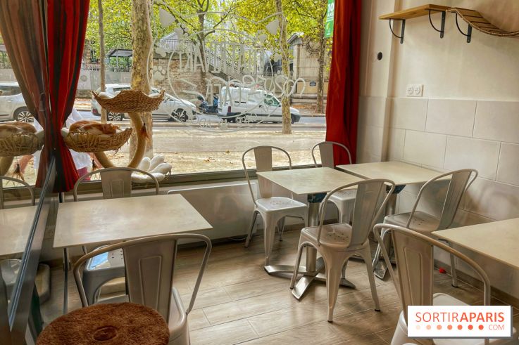 Chat-Rivari Café