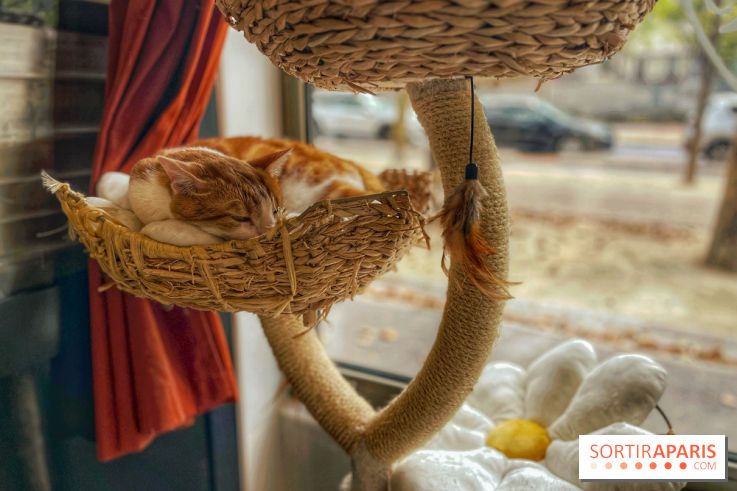 Chat-Rivari Café