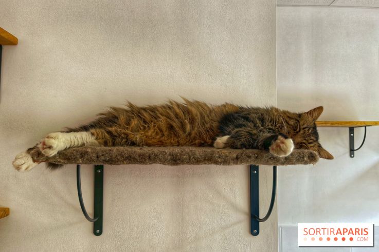 Chat-Rivari Café