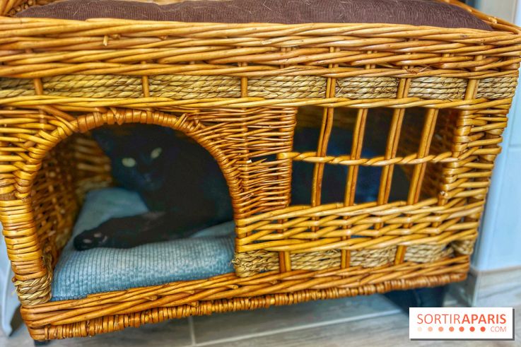 Chat-Rivari Café