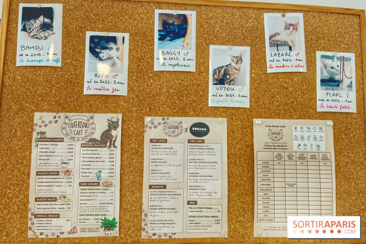 Chat-Rivari Café