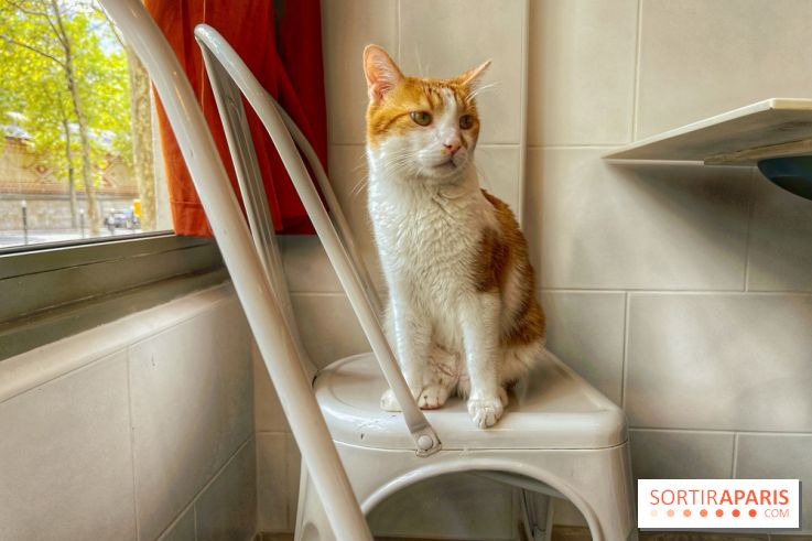 Chat-Rivari Café