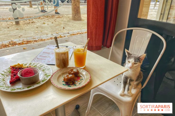 Chat-Rivari Café