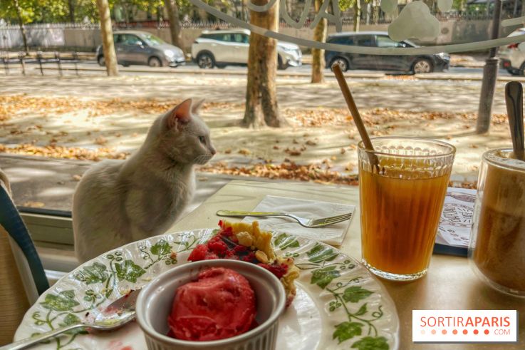 Chat-Rivari Café