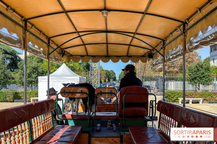 Tous en piste ! à Maisons-Laffitte (78): poneys, calèche et spectacles équestres gratuits au château - IMG 8163 jpg