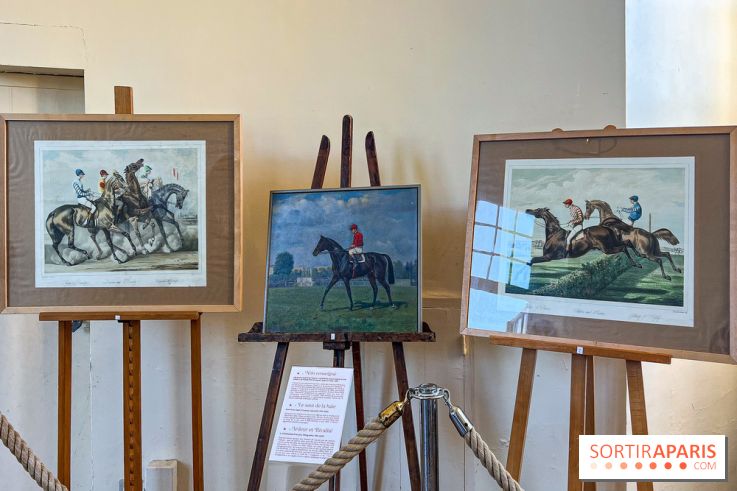 Tous en piste ! à Maisons-Laffitte (78): poneys, calèche et spectacles équestres gratuits au château - IMG 8190 jpg
