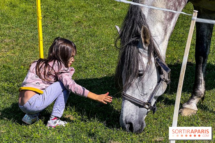 Tous en piste ! à Maisons-Laffitte (78): poneys, calèche et spectacles équestres gratuits au château
