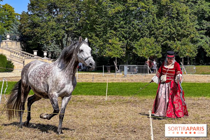 Tous en piste ! à Maisons-Laffitte (78): poneys, calèche et spectacles équestres gratuits au château