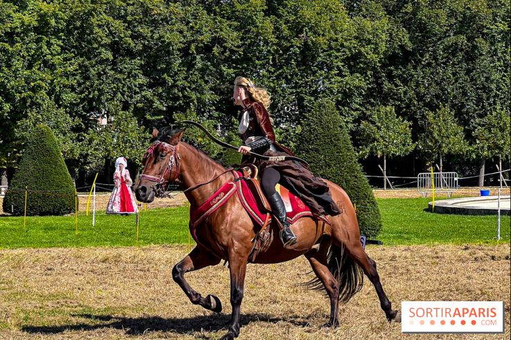 Tous en piste ! à Maisons-Laffitte (78): poneys, calèche et spectacles équestres gratuits au château - IMG 8372 jpg