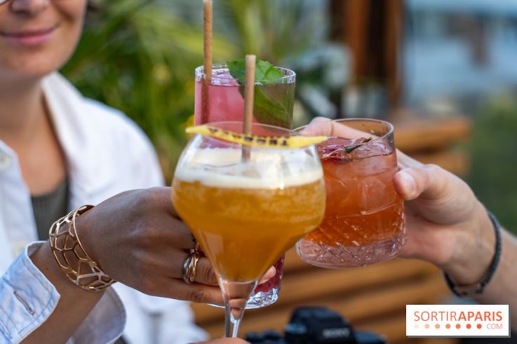 Terraza Mikuna : le rooftop du BHV Marais - A7C06861