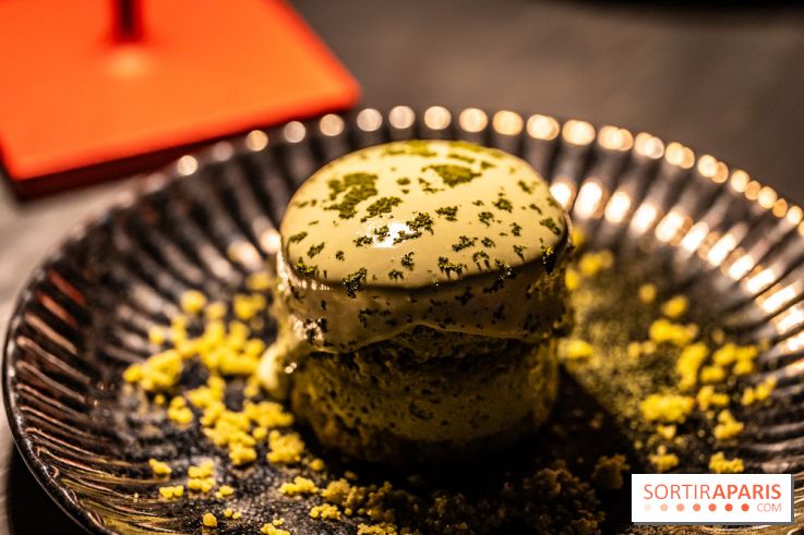 Aqua Kyoto Paris, le rooftop japonais sur les Champs-Elysées - photos - A7C07335