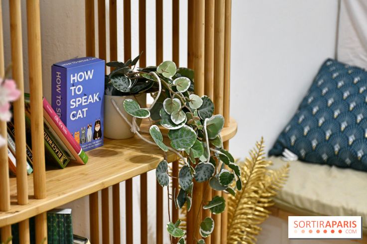 Koneko Work : le café coworking pour travailler en compagnie des chats - DSC 5244