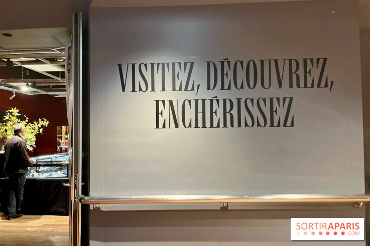 Hôtel Drouot - IMG 5171