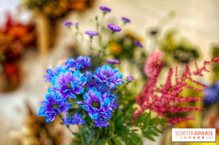 Les filles d'à côté - IMG 5229