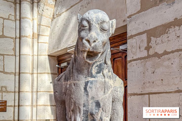 Visite des tours de Notre-Dame de Paris - IMG 7440