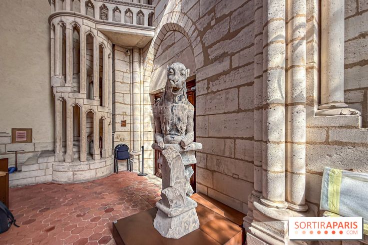 Visite des tours de Notre-Dame de Paris - IMG 7441