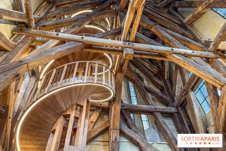 Visite des tours de Notre-Dame de Paris - IMG 7450