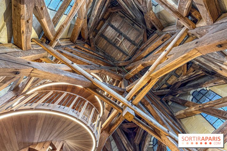 Visite des tours de Notre-Dame de Paris - IMG 7452