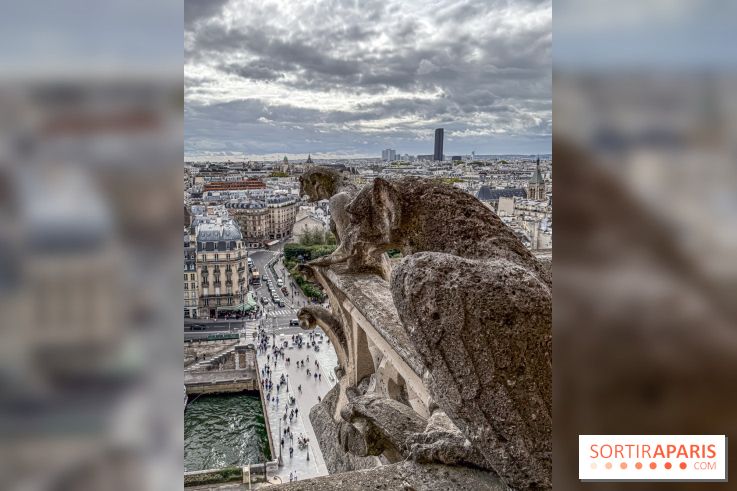 Visite des tours de Notre-Dame de Paris - IMG 7458