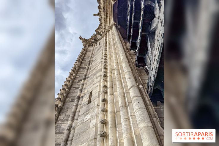 Visite des tours de Notre-Dame de Paris