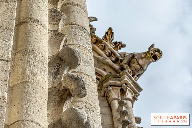 Visite des tours de Notre-Dame de Paris