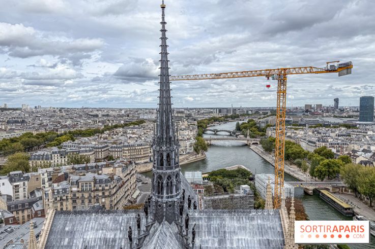 Visite des tours de Notre-Dame de Paris