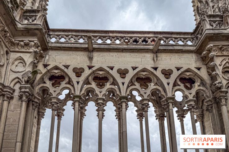 Visite des tours de Notre-Dame de Paris - IMG 7504