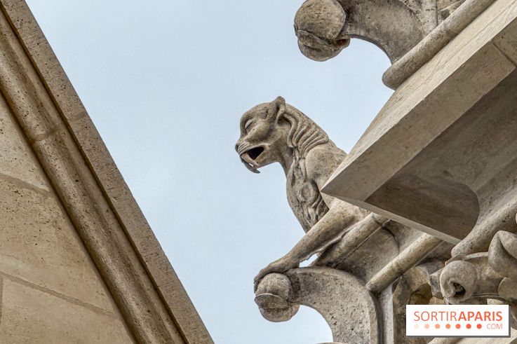 Visite des tours de Notre-Dame de Paris - IMG 7508