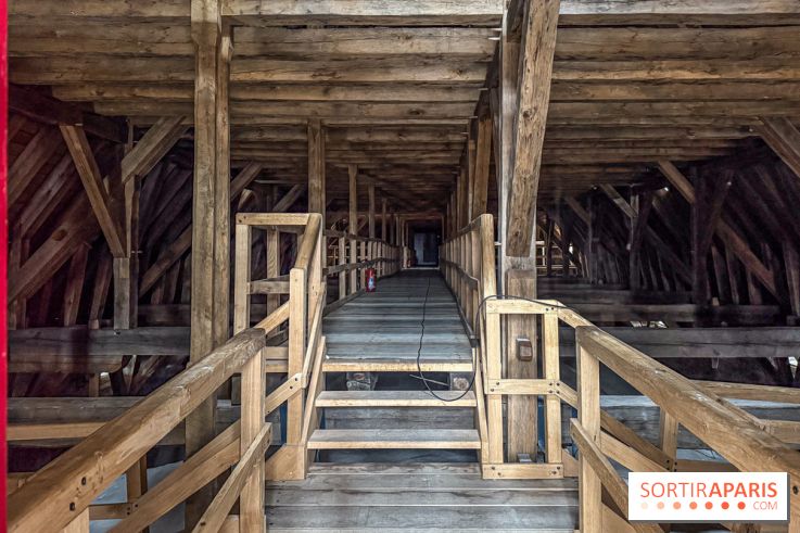 Visite des tours de Notre-Dame de Paris - IMG 7511