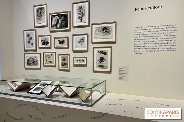 Les mondes de Colette - IMG 5332