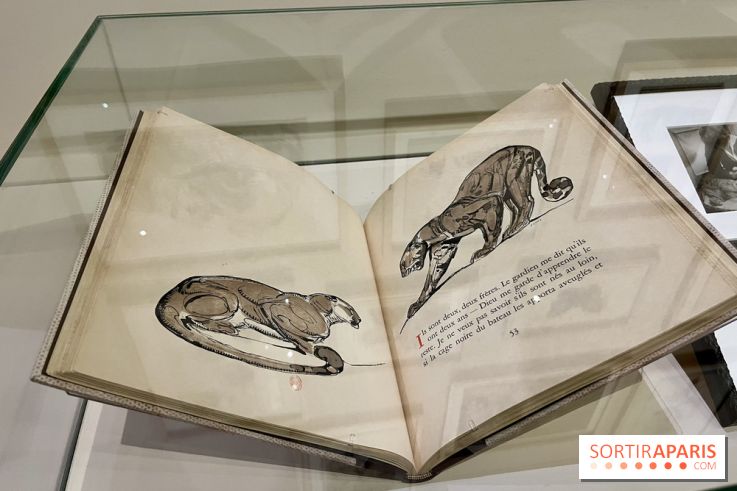 Les mondes de Colette - IMG 5333