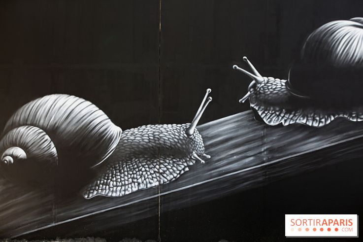 Festival de street art d'Antony 2025, nos photos 