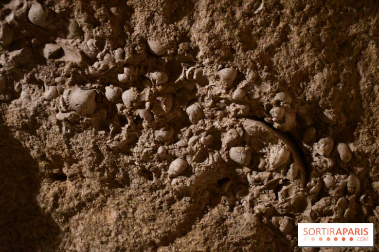 Les caves de Pontoise, visite des souterrains