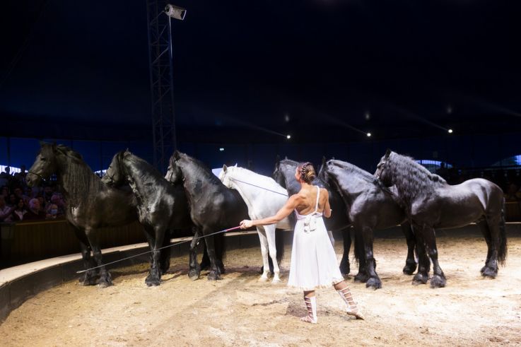 Campagne #35169 - FG 09 07 2025 OBRAJON 0066