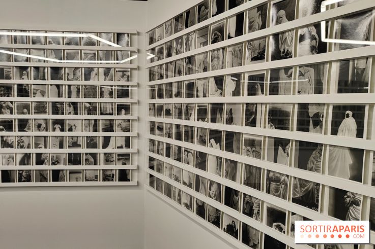 Honda Afshar, performer l'invisible : une exposition photo au musée du Quai Branly - fotor 1759154840360