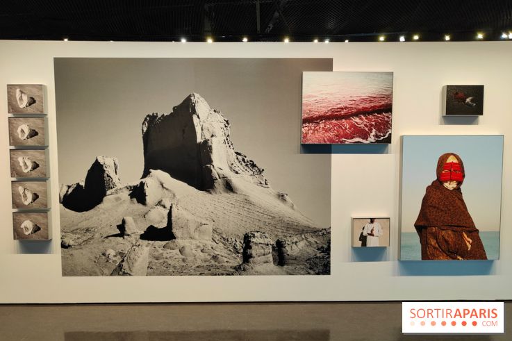 Honda Afshar, performer l'invisible : une exposition photo au musée du Quai Branly - fotor 1759154799777