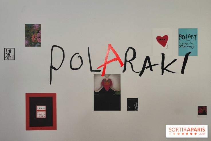 Polaraki, mille polaroids d'Araki Nobuyoshi : l'exposition du musée Guimet se dévoile