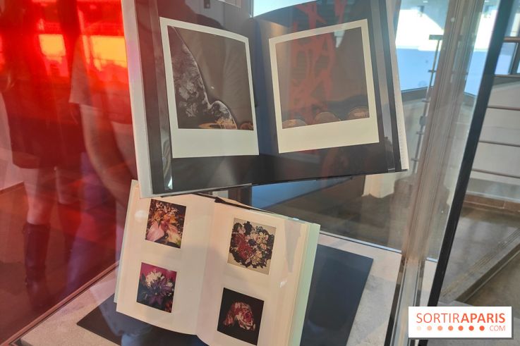 Polaraki, mille polaroids d'Araki Nobuyoshi : l'exposition du musée Guimet se dévoile