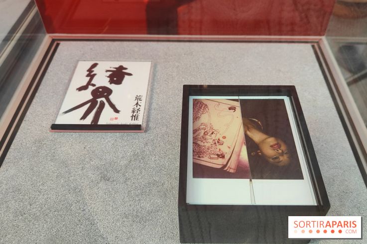 Polaraki, mille polaroids d'Araki Nobuyoshi : l'exposition du musée Guimet se dévoile