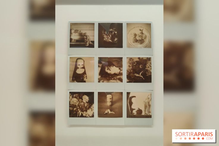 Polaraki, mille polaroids d'Araki Nobuyoshi : l'exposition du musée Guimet se dévoile