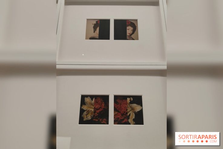 Polaraki, mille polaroids d'Araki Nobuyoshi : l'exposition du musée Guimet se dévoile